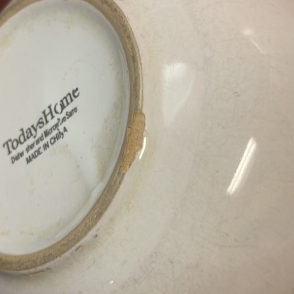 Today’s Home dishwasher and microwave safe bowl - Picture 4 of 5